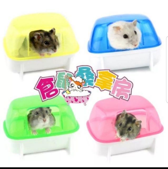 Nhà tắm lớn hamster bear