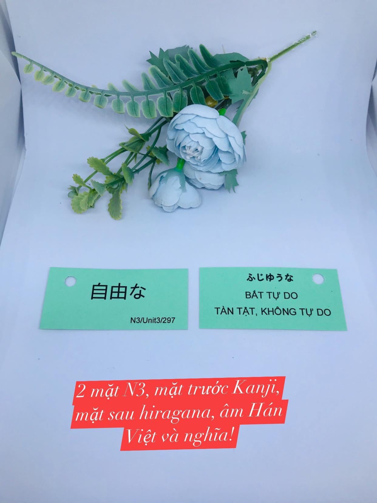 FLASHCARD TIẾNG NHẬT N3 MIMIKARA 880 THẺ