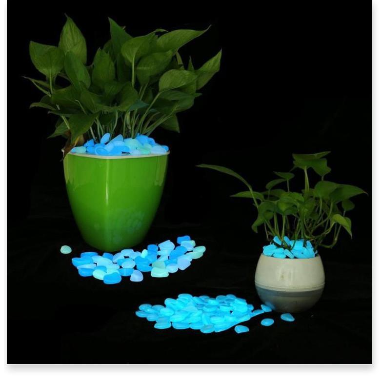 Đá cuội huỳnh quang Lino - 200 viên