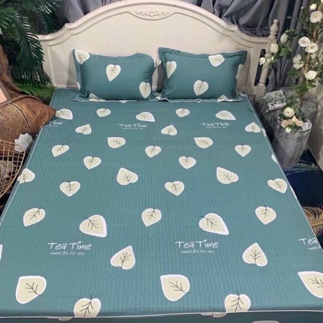 Bộ Ga Gối Trần Chun Cotton Hàng Xuất Nhật