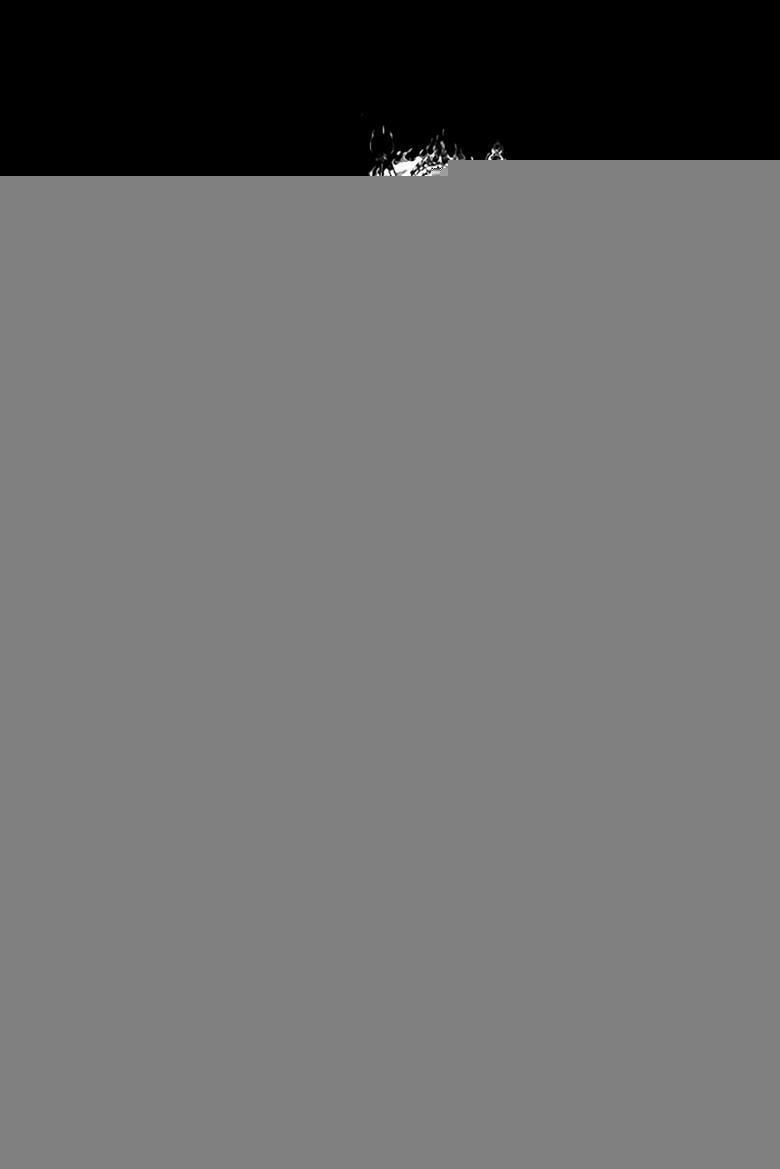 diêm đế chapter 249 19