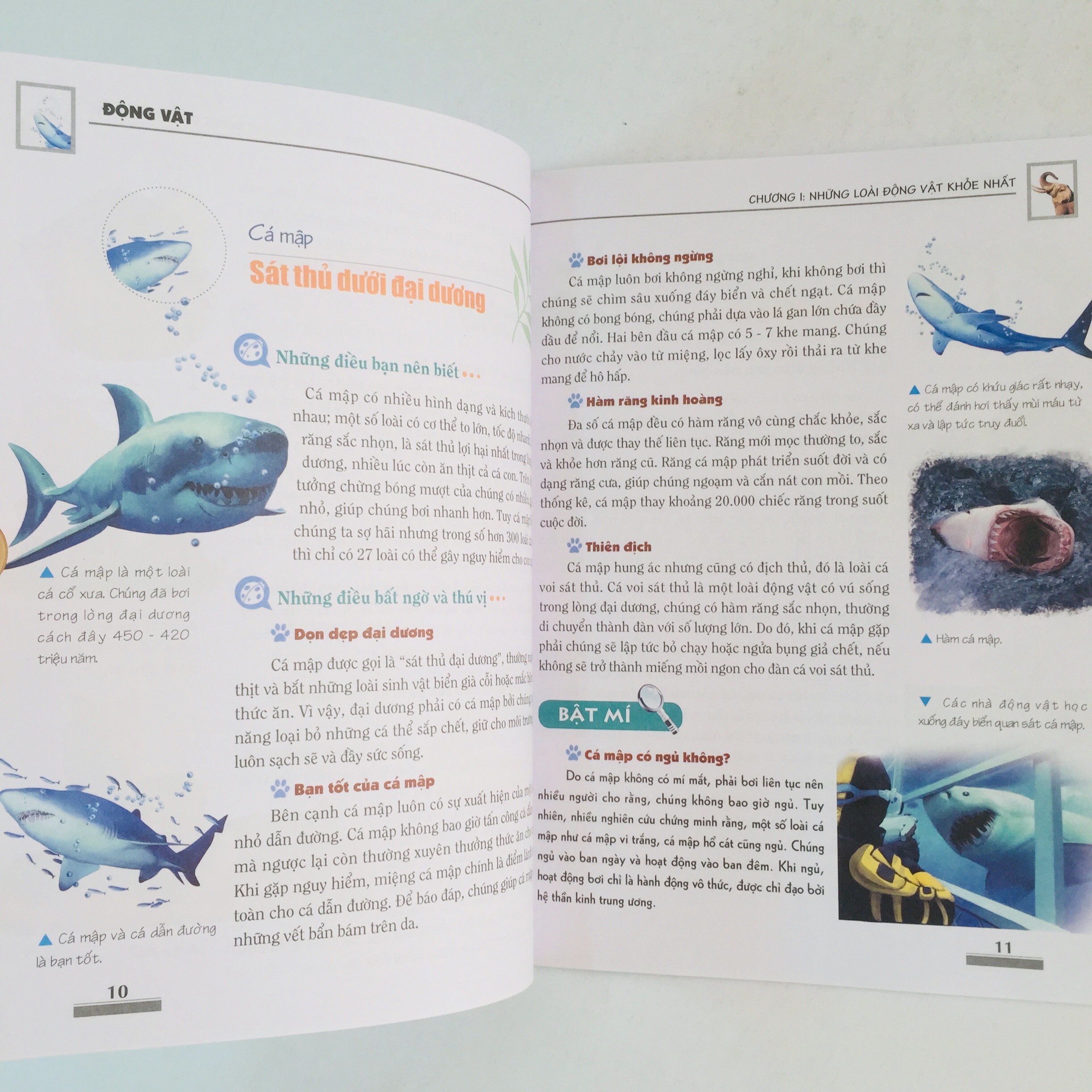 Khám Phá Bí Ẩn Thế Giới Tự Nhiên Dành Cho Học Sinh – Boxset 5 cuốn