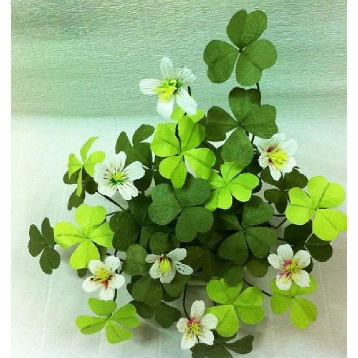 Combo 4 gói hạt giống hoa các loại dễ trồng ,ngắn ngày-gói 50 hạt/tặng kèm gói phân bón lót