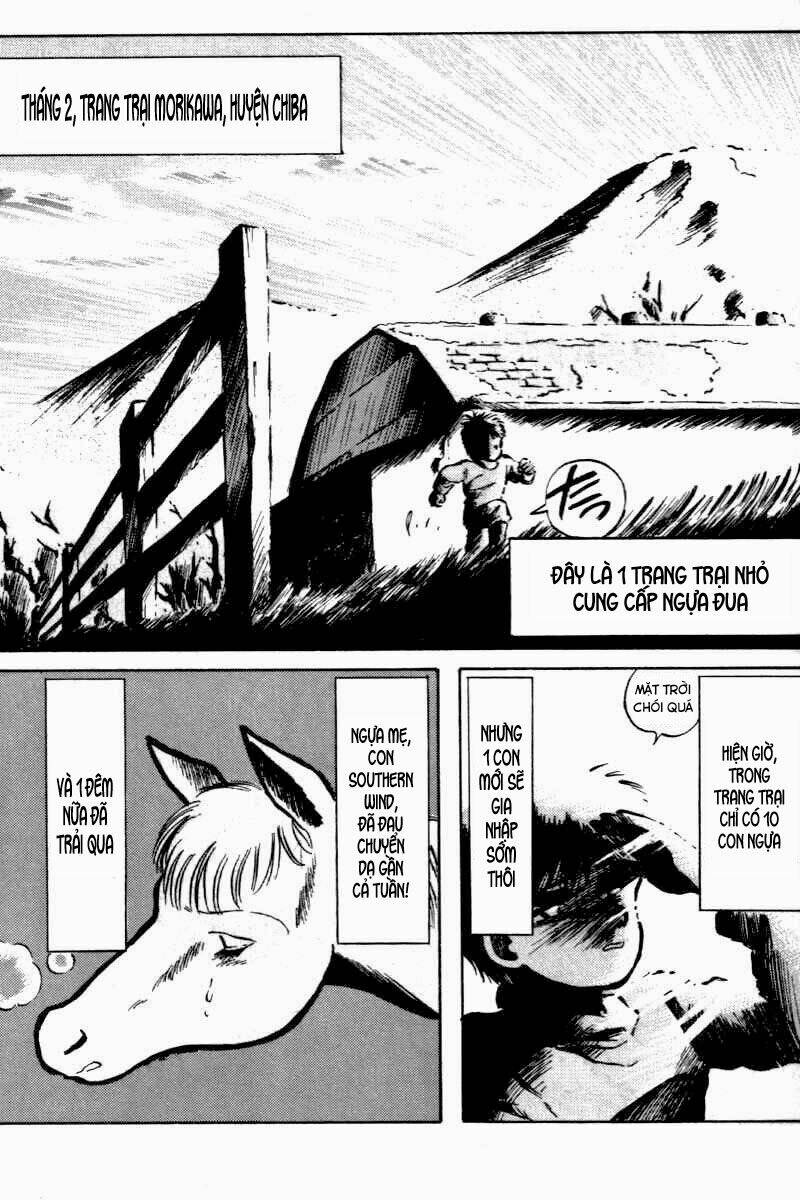 kaze no sylphid - phong mã silphid chapter 1 7