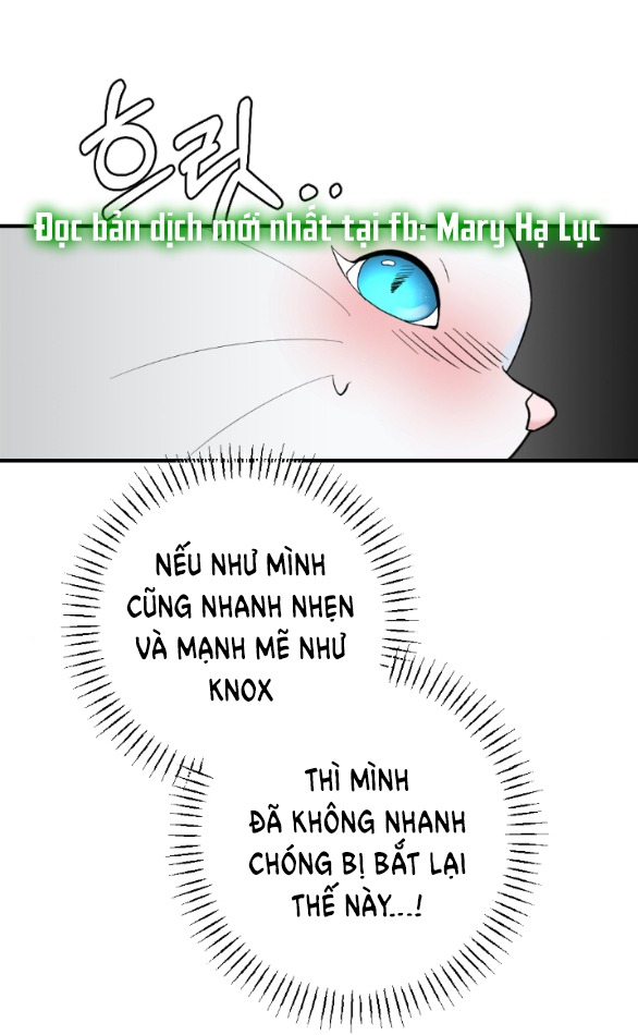 [18+] chuyện mèo trắng bị ba tước báo đen ăn thịt chapter 8.1 37