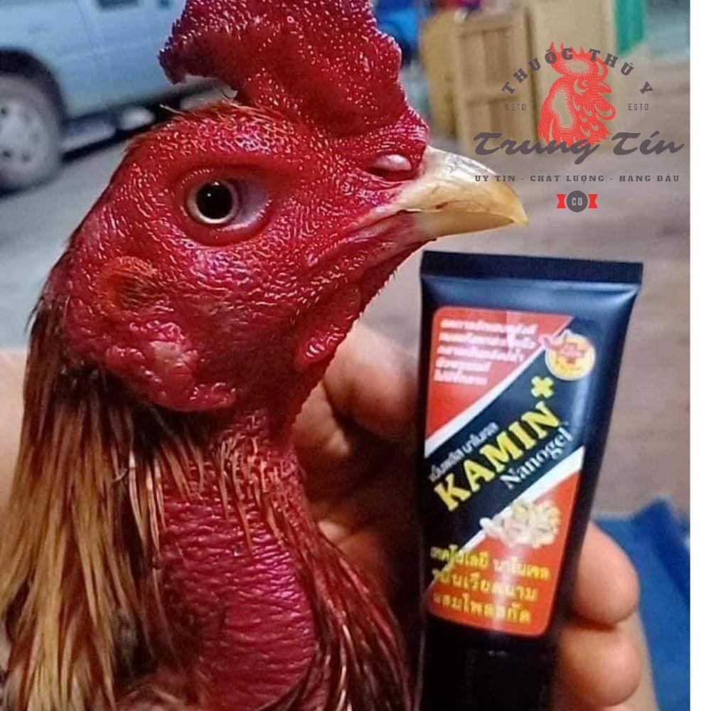 Kamin thay thế nghệ tươi - 1 típ / 60g