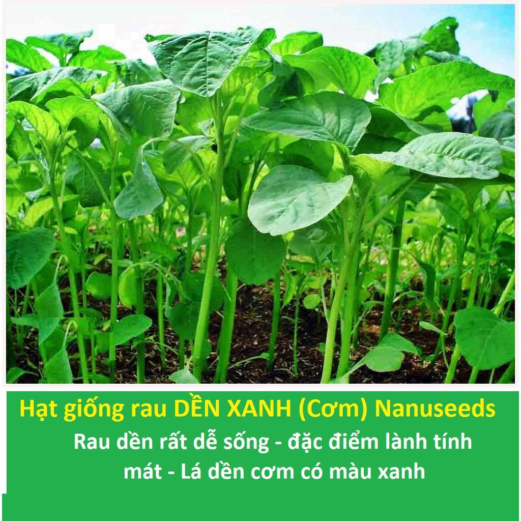 Hạt Giống Rau Dền Xanh - dền cơm gói 20gr