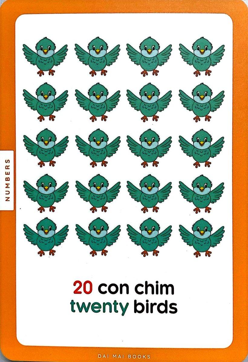 Sách - Flash Card - Thẻ Học Thông Minh Theo Phương Pháp Giáo Dục Sớm Glenn Doman - Số Đếm - Numbers