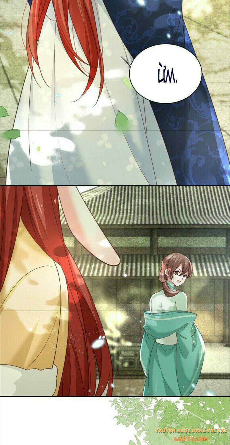 hắc hóa nam chính trực tuyến nuôi thỏ chapter 66 6