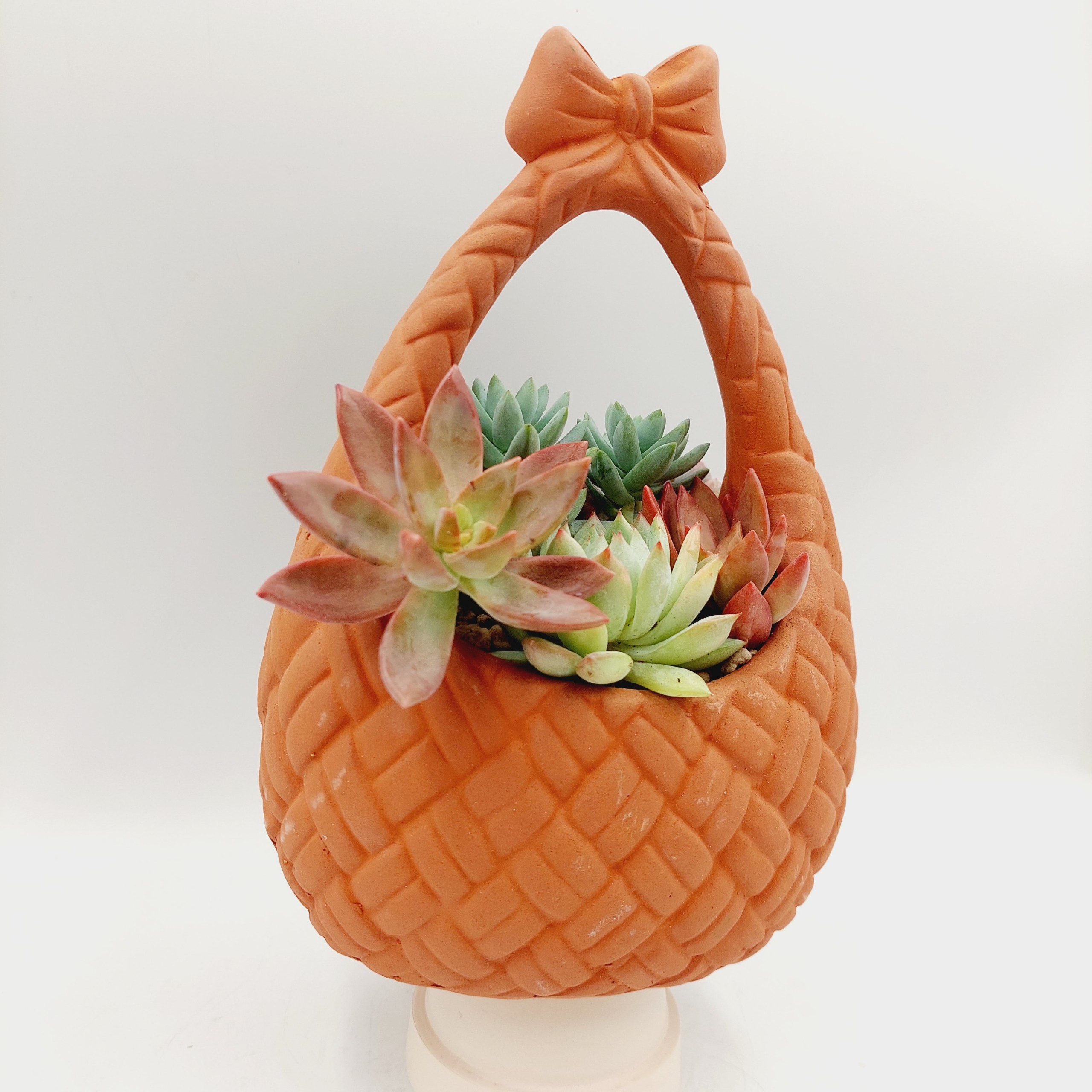 Chậu đất nung, chậu sen đá -Giỏ nơ, miệng chậu , chiều cao 20cm