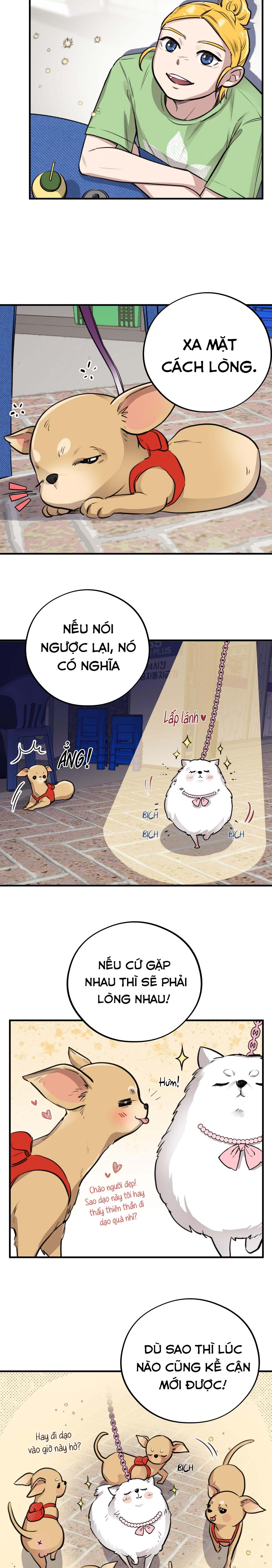 mật gấu chapter 4 12