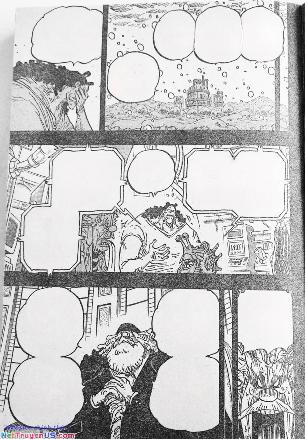 đảo hải tặc - one piece chapter 1100 7