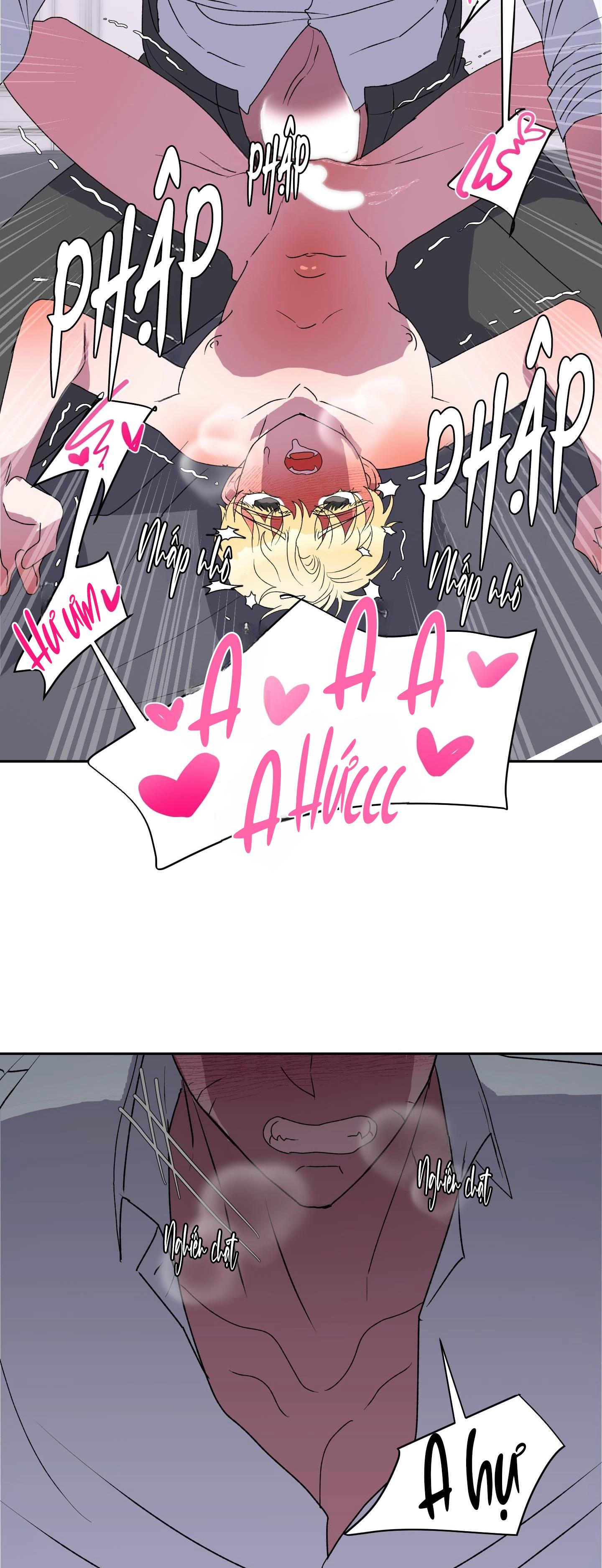 cá mập và cô dâu thỏ chapter 12 37