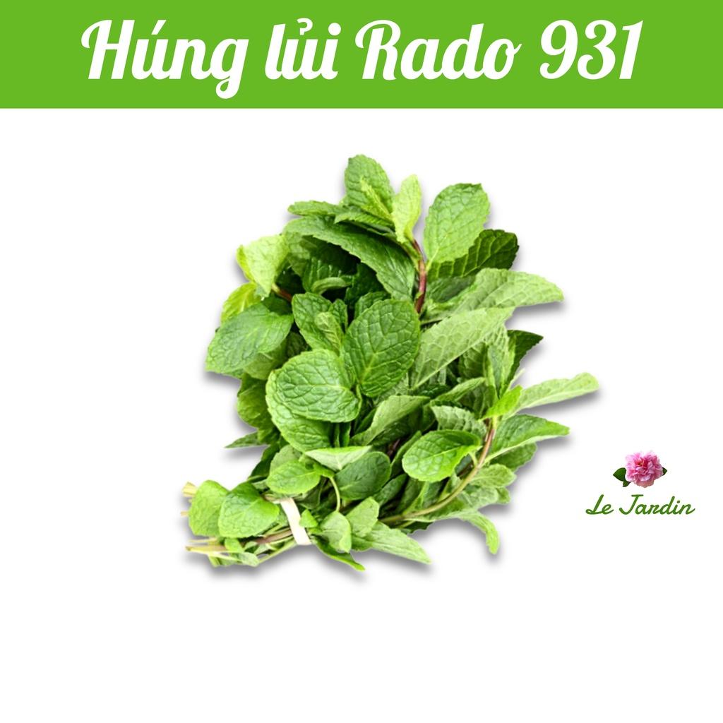 Hạt giống Rau Húng Lủi gói 0,2gr - Dễ trồng