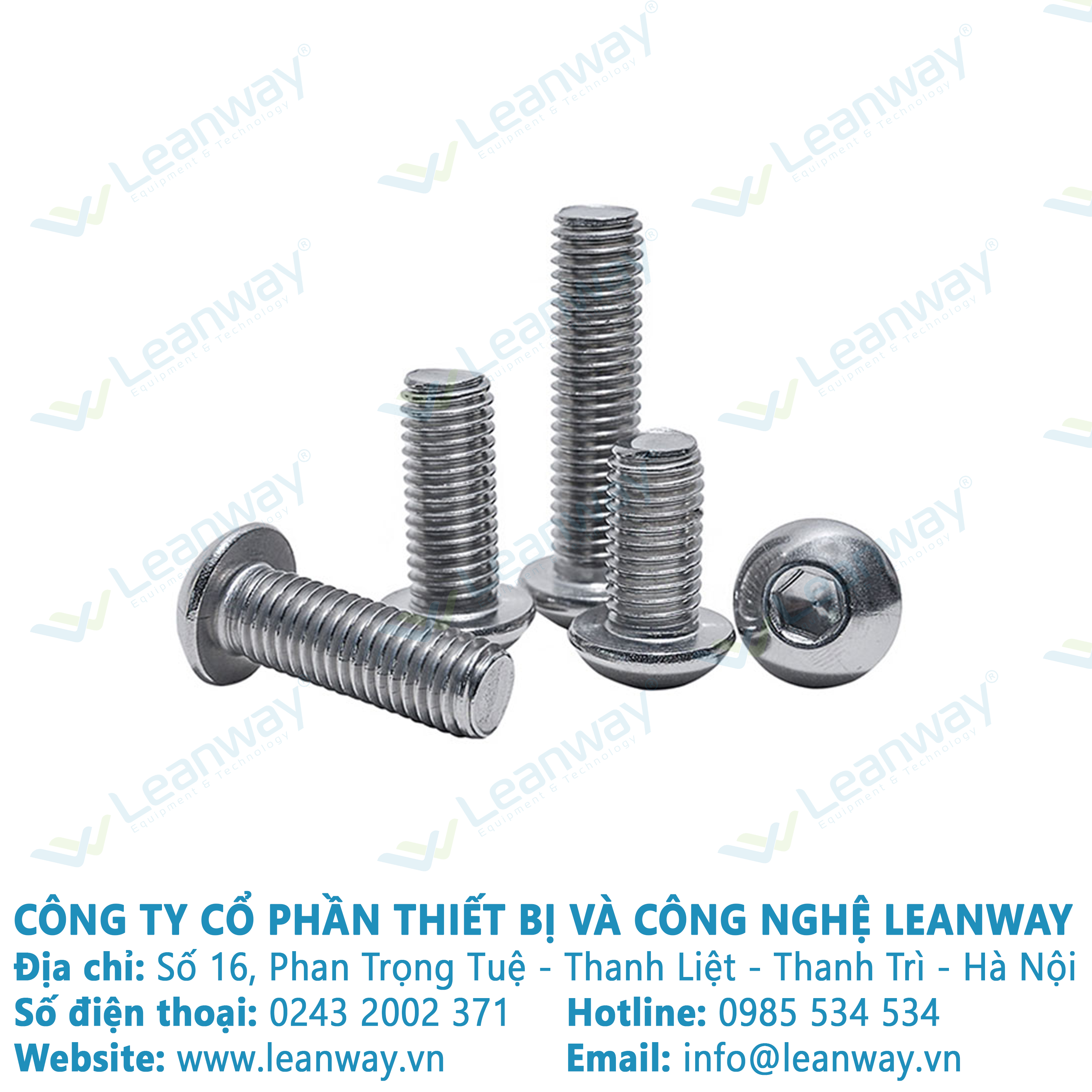 10 con Bulong đầu cầu inox 201