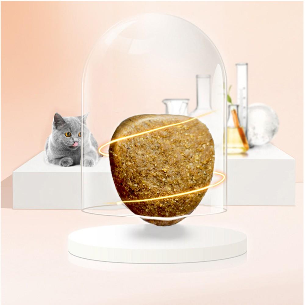 Thức ăn hạt cho mèo MASTI giàu protein 28% phát triển nhanh giúp boss chắc xương đẹp lông-500g