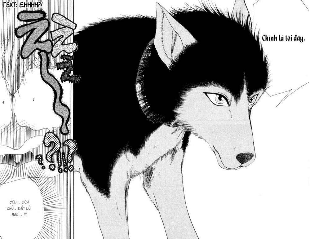 wild half chapter 1 27