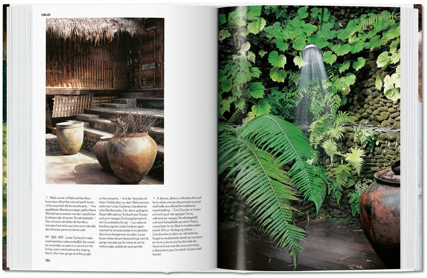 Artbook - Sách Tiếng Anh - Living in Bali. 40th Ed.