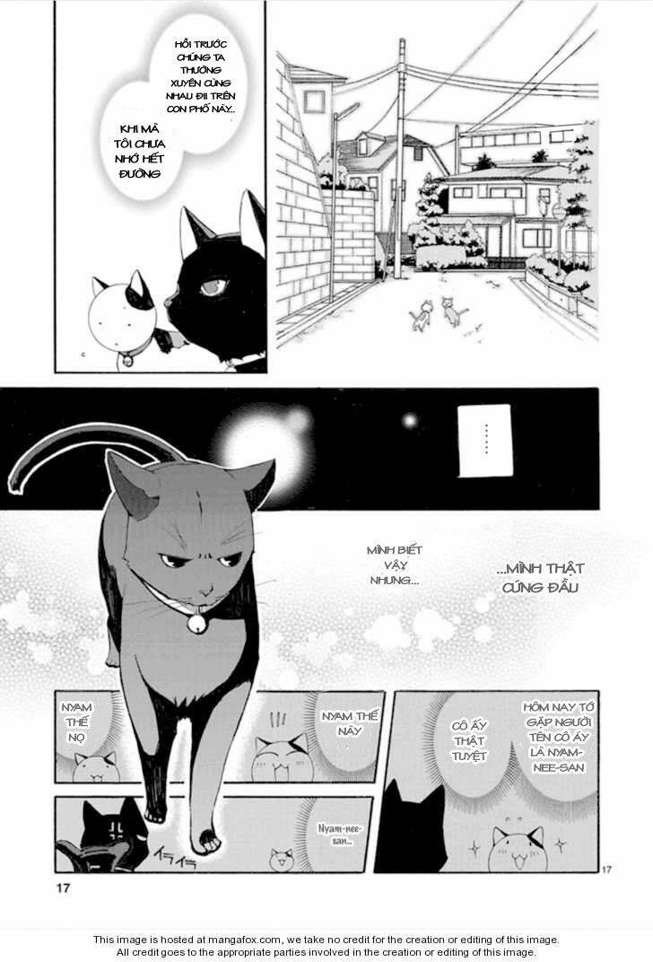 nyankoi! chapter 13 18