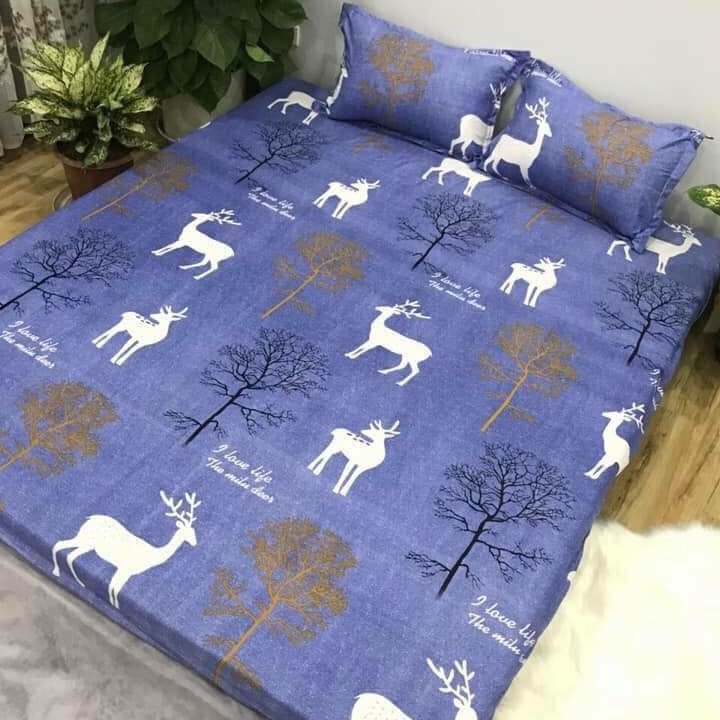 Set 3 món ga gối Poly cotton PL2 - Tuần Lộc + Tặng 1 vỏ gối ôm - Tặng kèm 1 móc khóa Houston