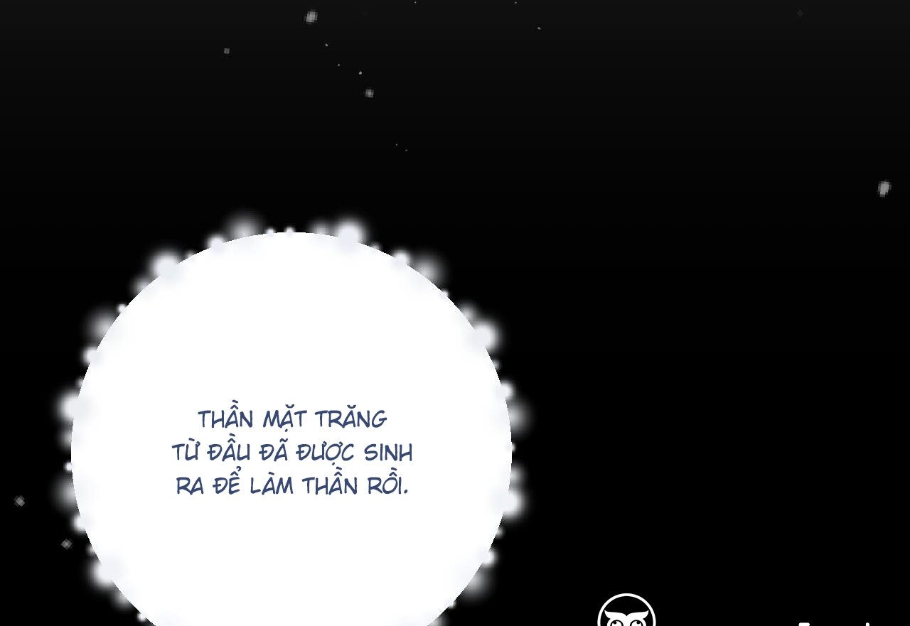 những chú thỏ của hapypy chapter 59 47