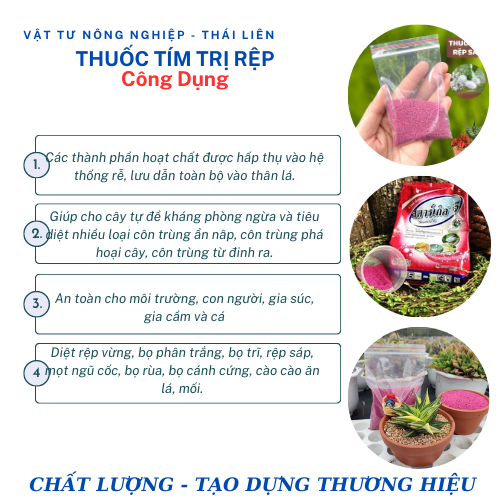 Thuốc tím trị rệp, Starkle-G, bao 50gr, lưu dẫn, an toàn, hiệu quả, dùng cho sen đá, xương rồng