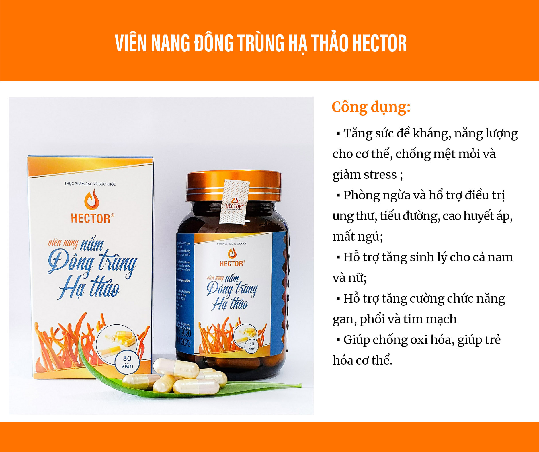 Combo 2 hộp 60 viên nang Đông trùng hạ thảo Hector (Dùng cho 2 tháng)