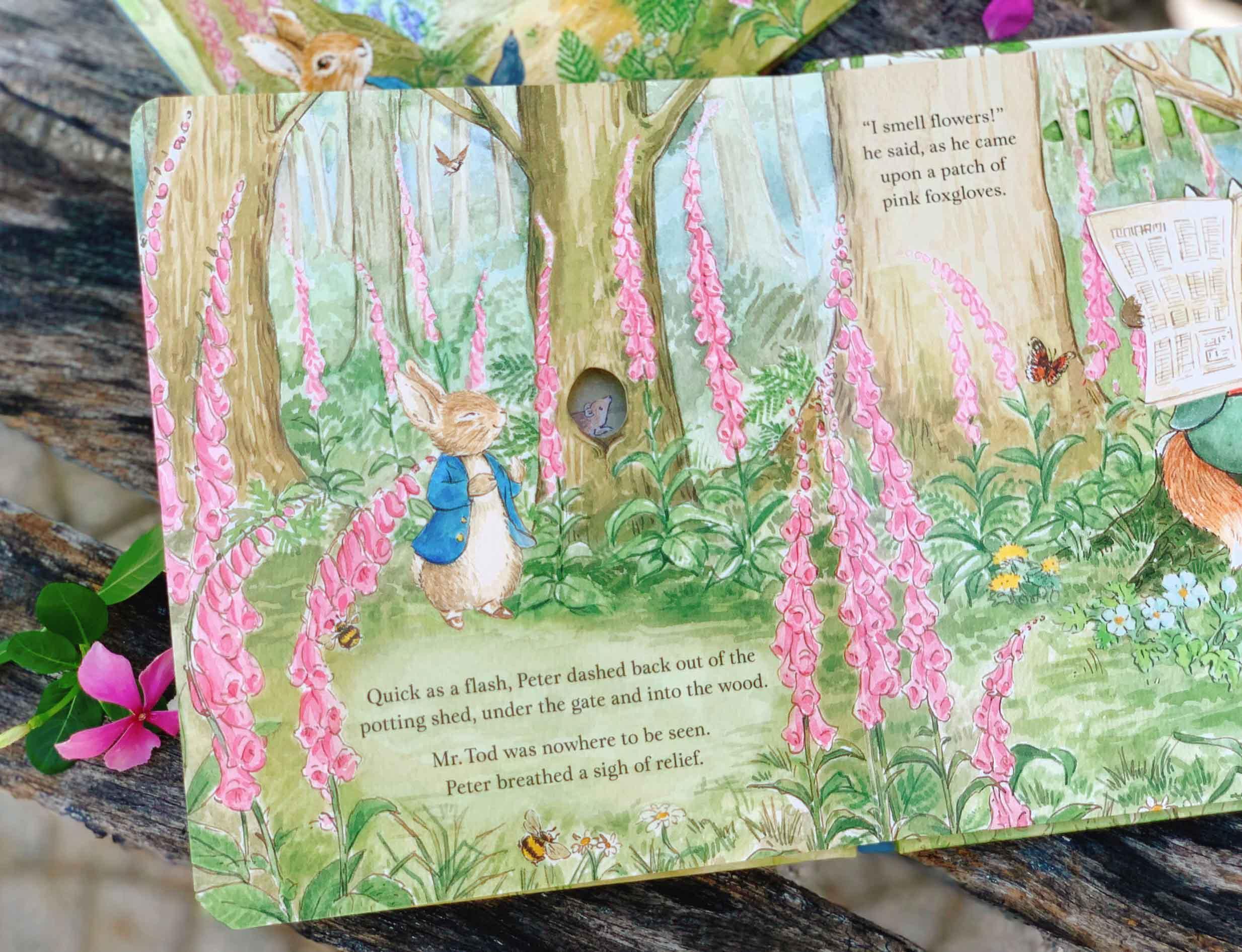 Peter Rabbit: A Peep-Inside Tale