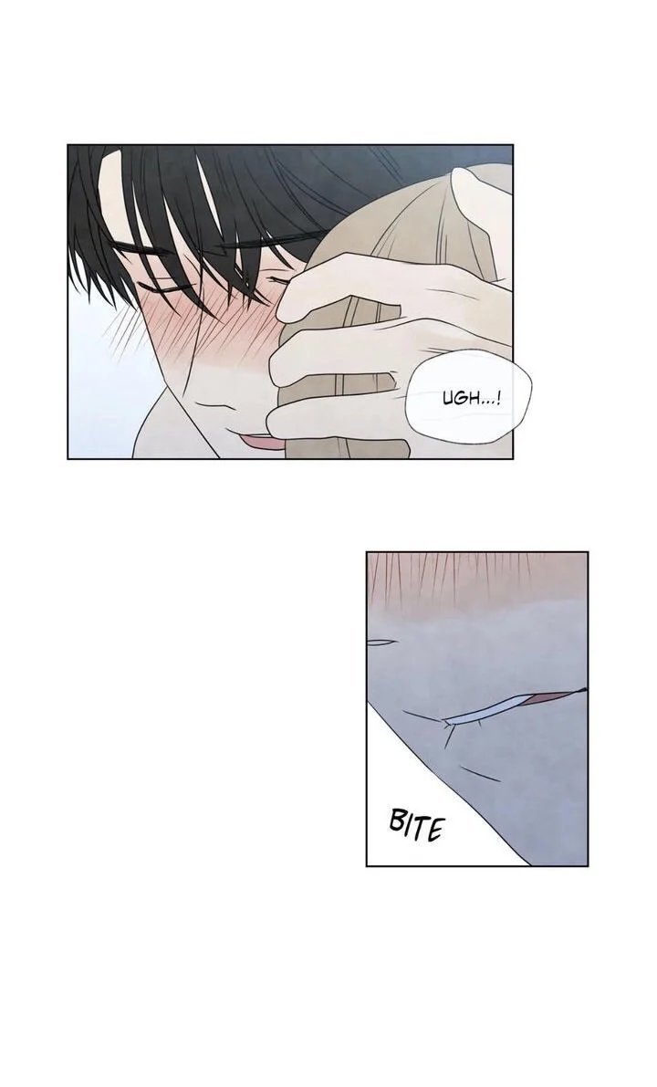 summer solstice point chapter 19 28