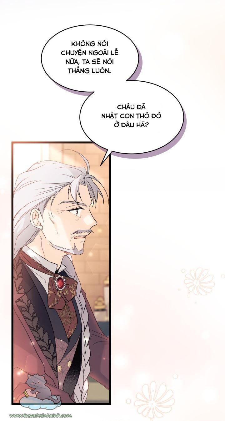 quan hệ cộng sinh giữa báo đen và thỏ trắng chapter 55 61