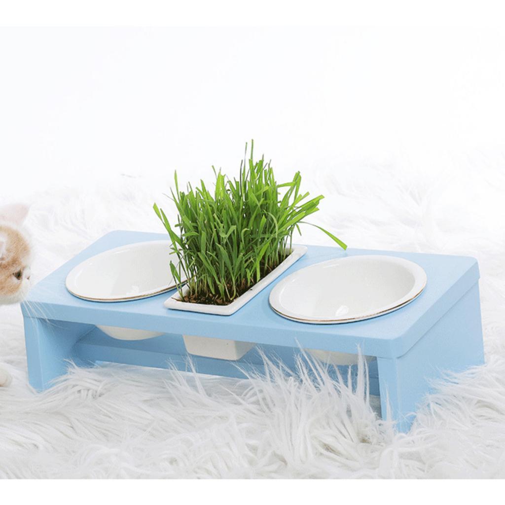 Pet Ceramic Food Water Feeding Bowl With Wooden Stand For Cat Dog Sky Blue