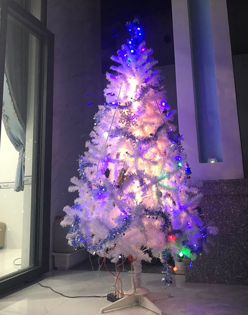 Cây thông noel màu trắng  - Cây thông noel đẹp - Tán dày và đều, cây thông chắc chắn, dể tháo lắp
