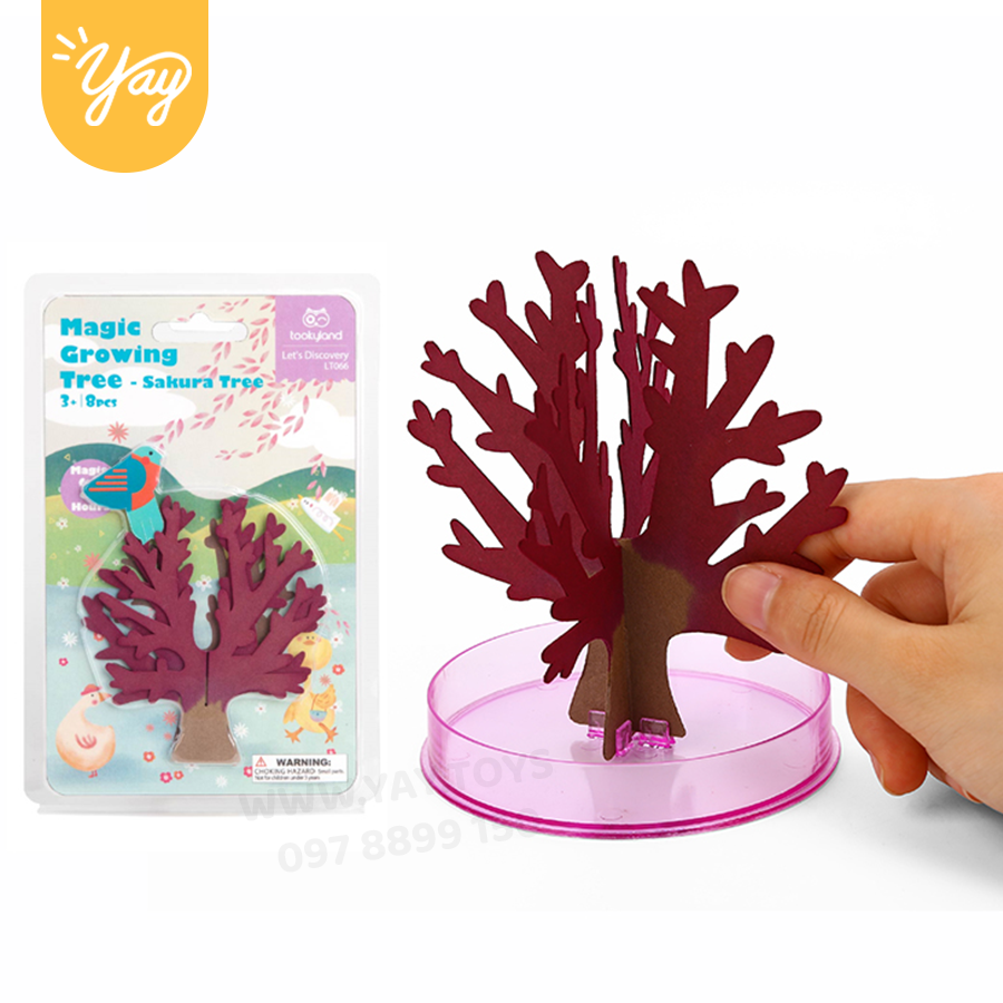 Cây Hoa Anh Đào Sakura Trang Trí Thần Kỳ Tự Nở Cho bé 3+ - Tooky Toy