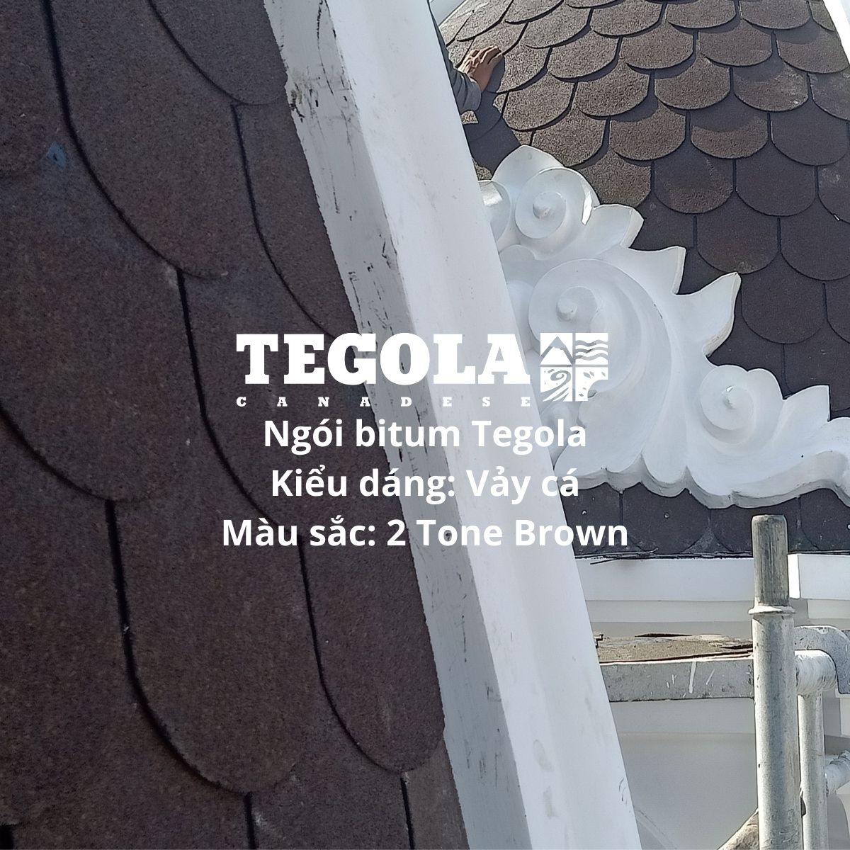 Ngói bitum Tegola - vảy cá - 2 tone brown - ngói lợp vảy cá Italia màu nâu cho biệt thự, nhà gỗ, mái thái, mái nhật, nhà tiền chế... đóng gói 3.05m2/gói