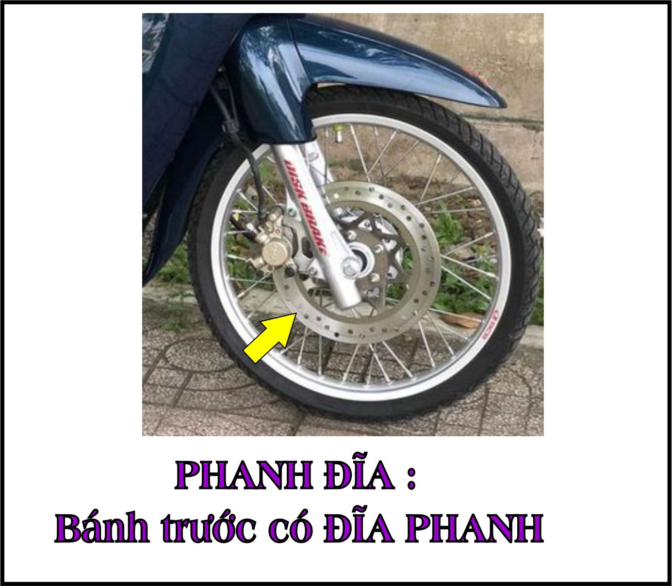 Bộ vỏ nhựa màu TÍM CÀ cho xe  Wave Zx đời 1997 đến 2006 -TKB-2104