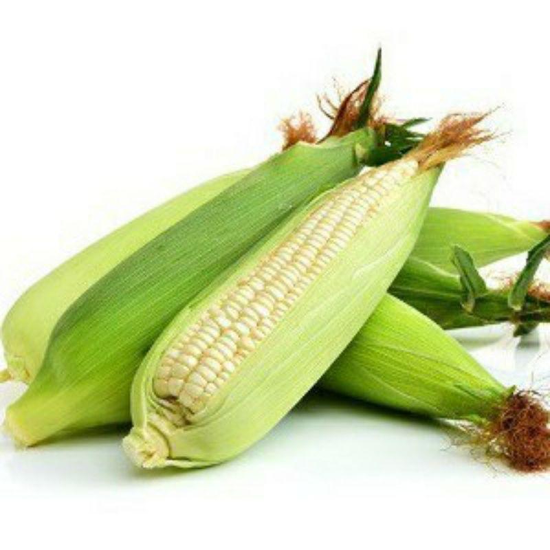 Hạt Giống Bắp Nếp Nù Siêu Dẻo CT58 - Gói 100gram