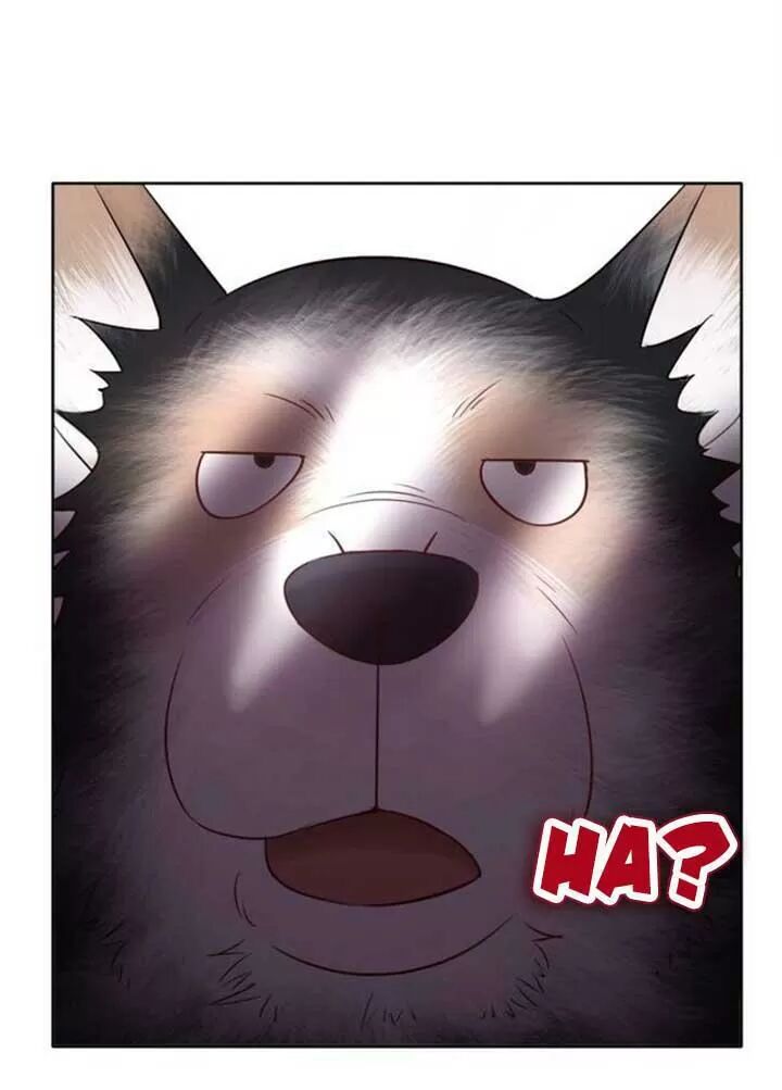 cực phẩm phế vật tiểu thư chapter 48 30