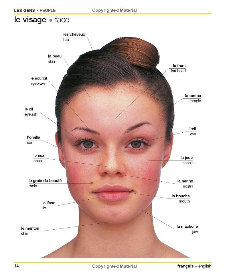 Sách ngoại văn: French English Bilingual Visual Dictionary