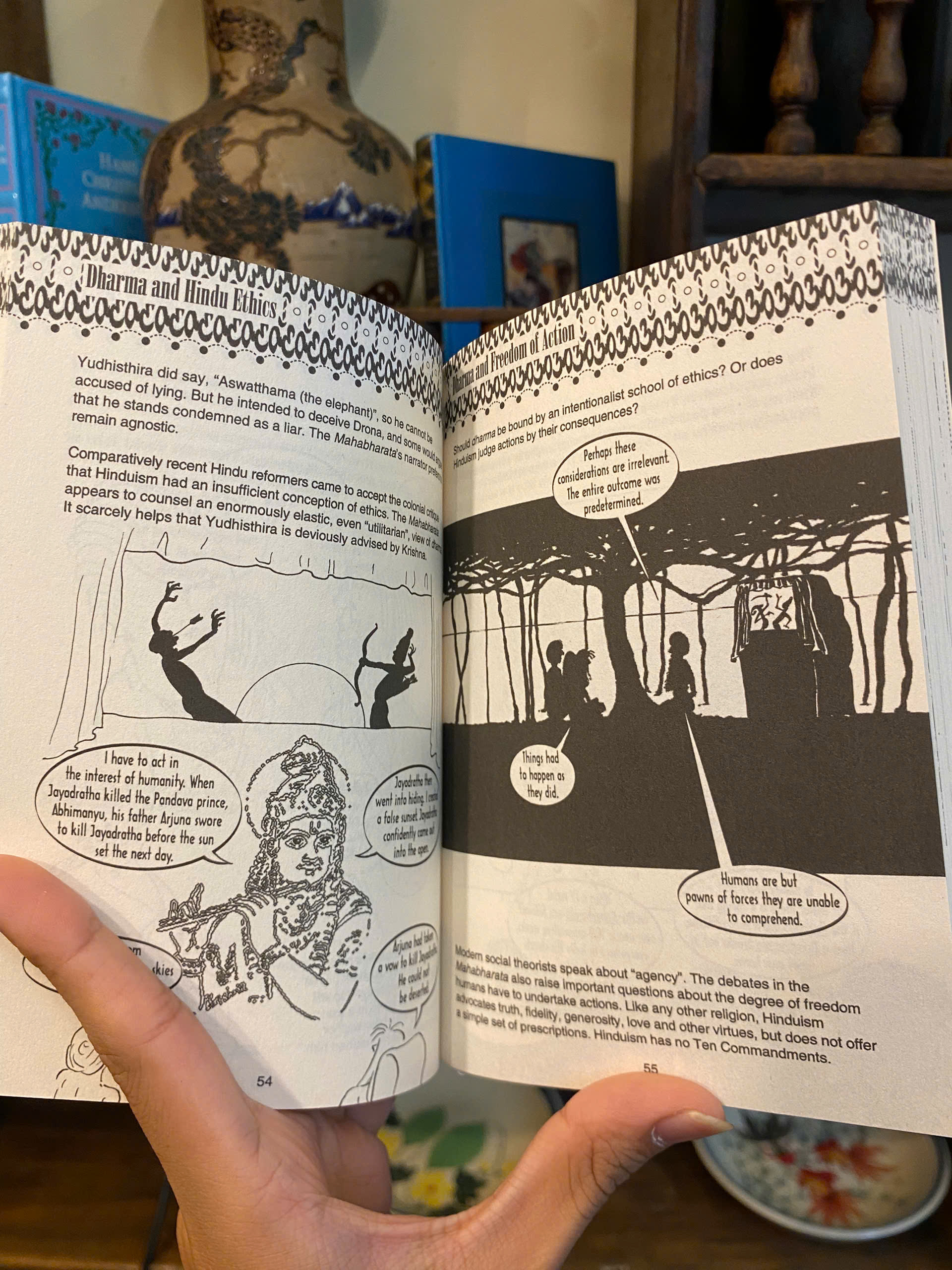 Sách - Introducing Hinduism A Graphic Guide by Vinay Lal - Religion/Nonfiction/Hinduism/English book