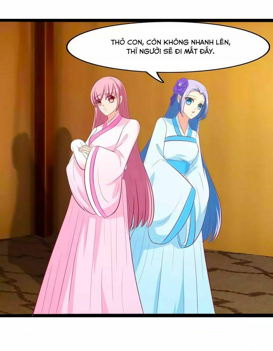 thỏ yêu tiểu vương phi chapter 86 4