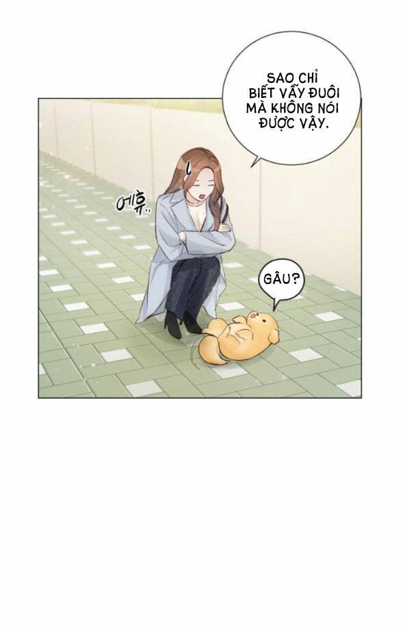 nhất định chúng ta sẽ được hạnh phúc chapter 79.1 19