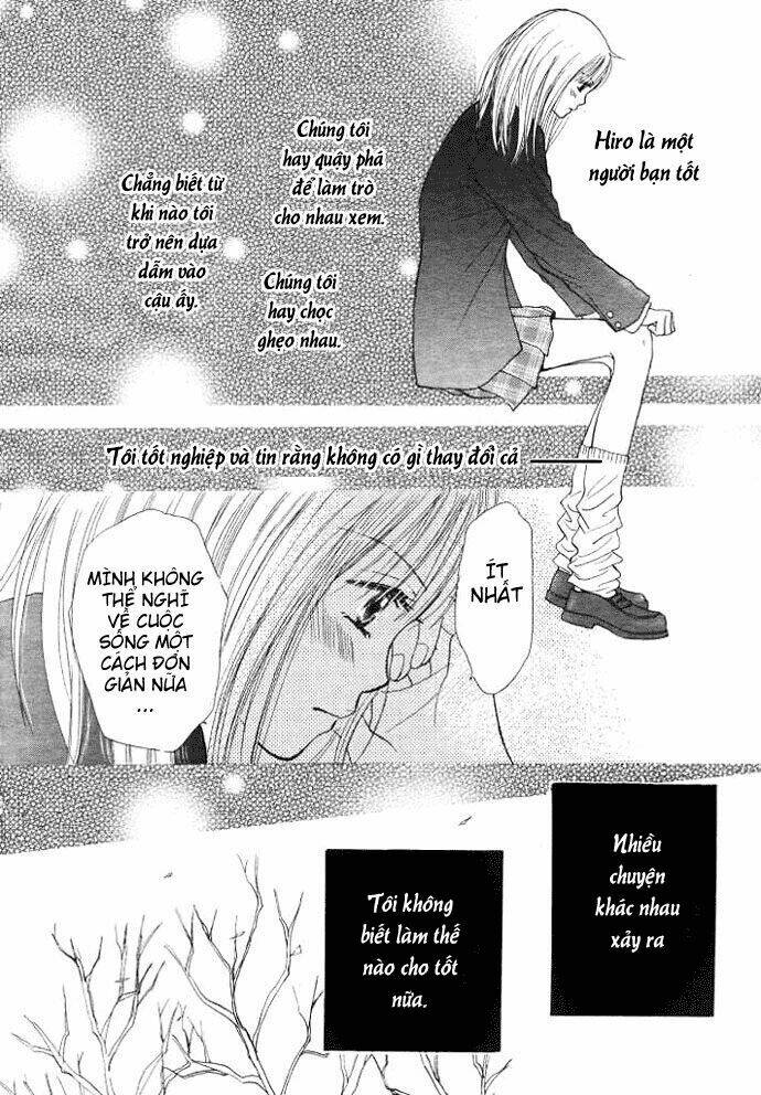 chocolate cake shooting star chapter 1 31