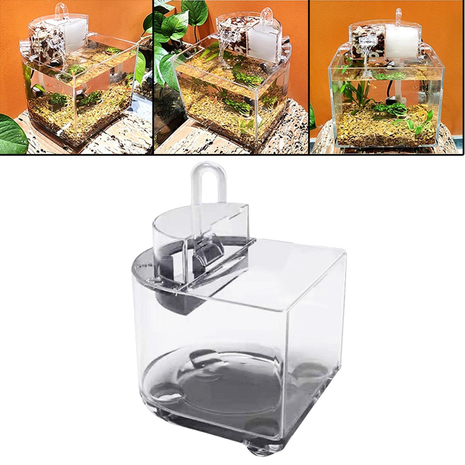 Desktop Aquarium with Water Filtration Quiet Air Pump