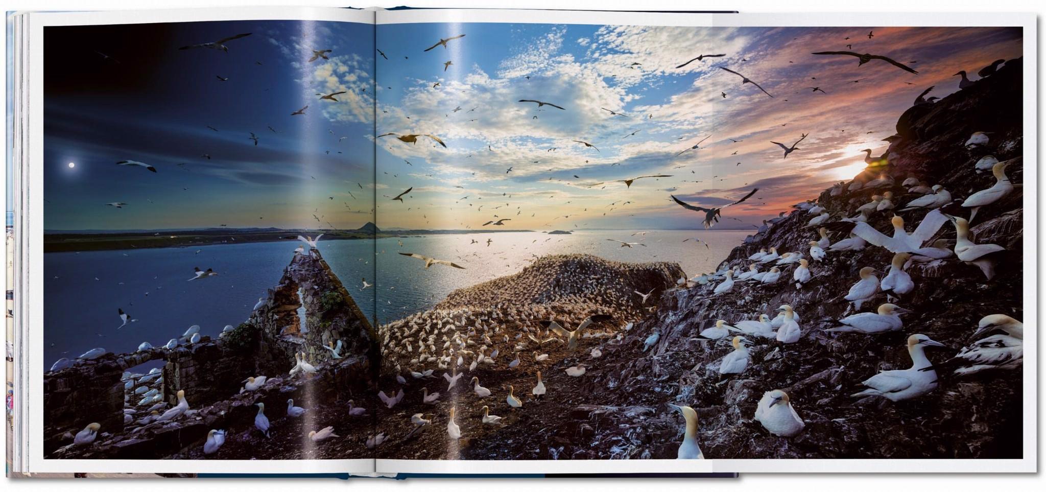 Artbook - Sách Tiếng Anh - Stephen Wilkes. Day to Night