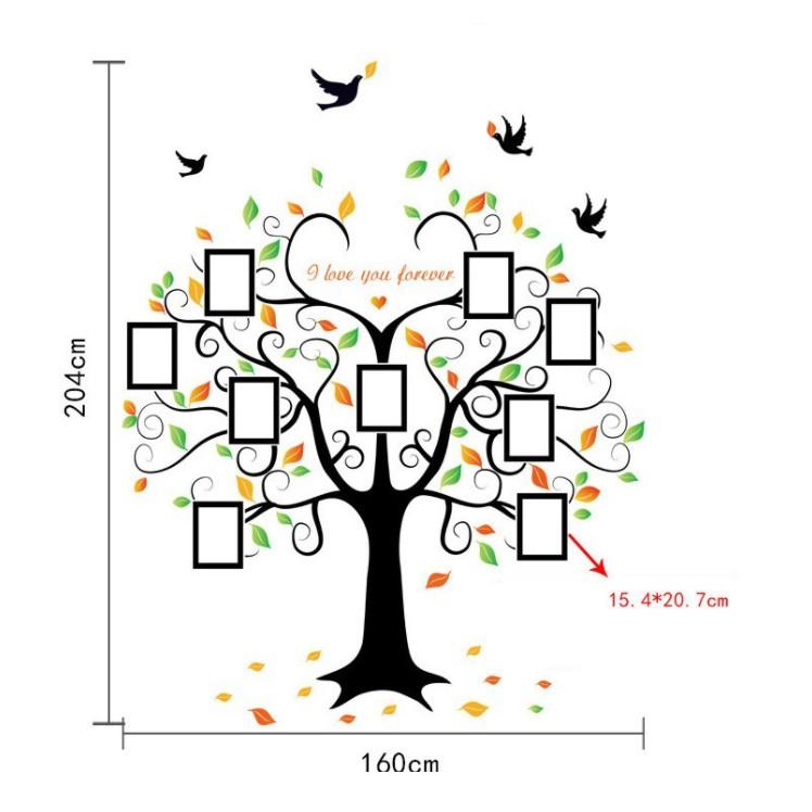 Decal trang trí tường - Cây lớn khung ảnh hình trái tim mẫu mới