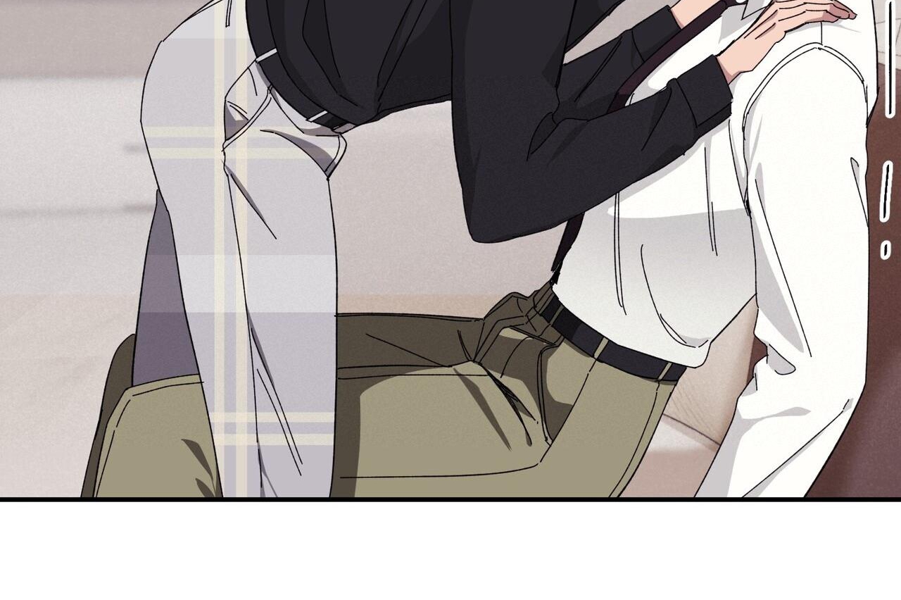 chàng dâu nhà họ kang chapter 33 174