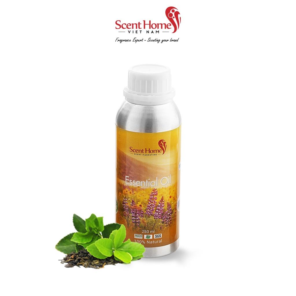 Tinh dầu Scent Homes - mùi hương
