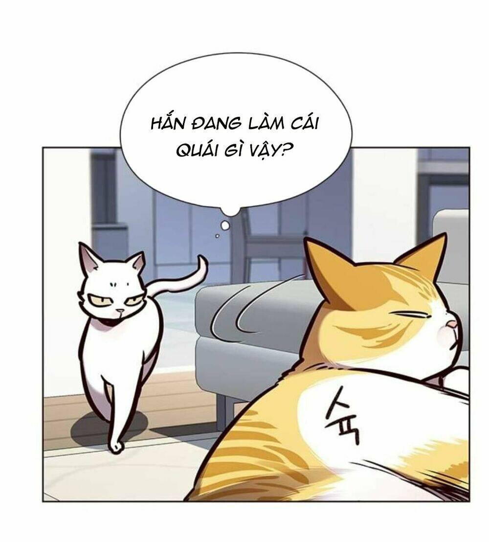biến thân thành mèo chapter 144 15