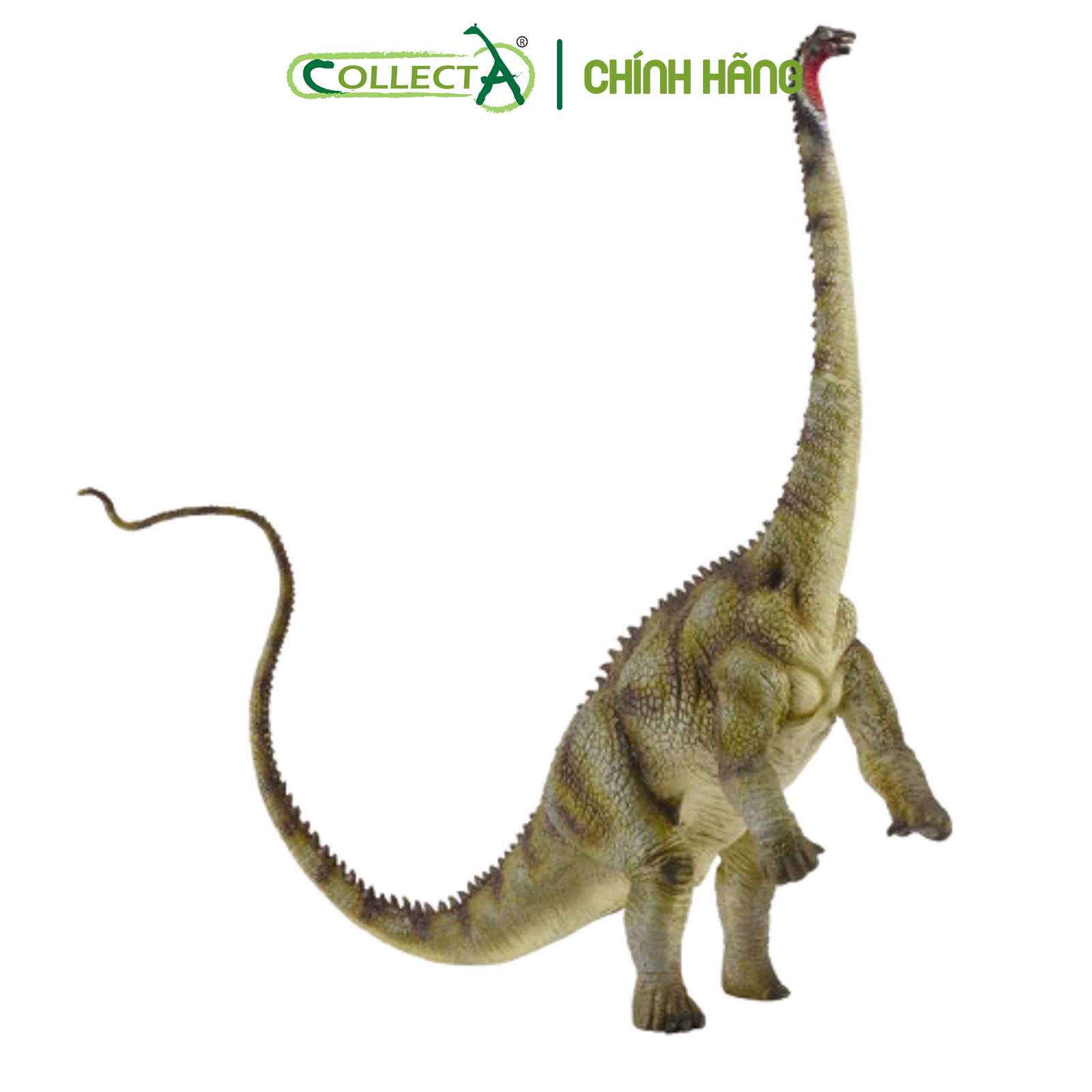 Mô hình thu nhỏ: Khủng Long Diplodocus - Diplodocus , hiệu: CollectA, mã HS 9654050 - Chất liệu an toàn cho trẻ - Hàng chính hãng