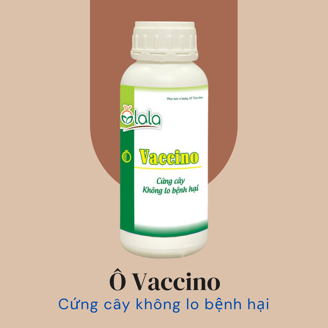 Chế phẩm bảo vệ cây trồng, trừ nấm bệnh, vàng lá, thối quả, thán thư, thối rễ - Ô Vaccino 500ml